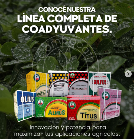 Instagram post - No es solo aplicar… es …